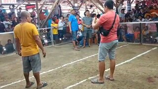 bong bulik