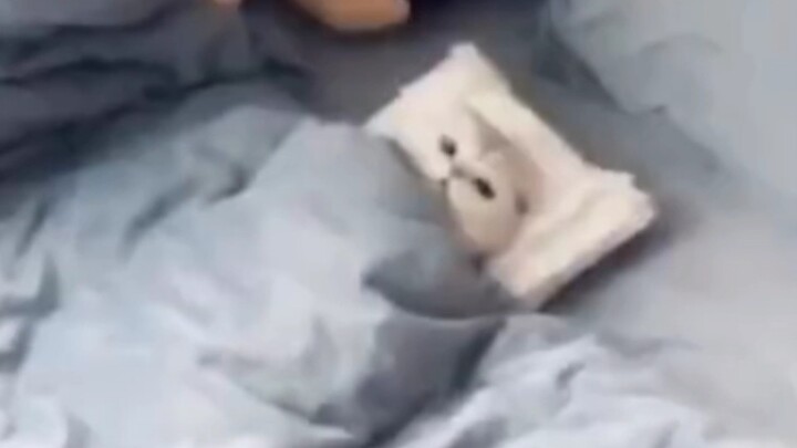 "في العام الجديد، احرصي على النوم جيدًا أيضًا!"