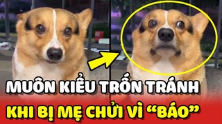 Vin Lợn - Những màn TRỐN TRÁNH khi bị mẹ chửi vì QUÁ BÁO 😂 | Yêu Lu