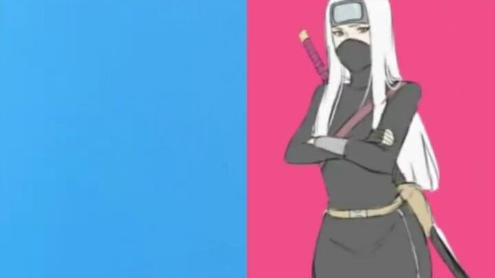 When Ninjas Gender Swap