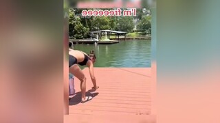 vuinhon haihuoc animals pet 2022 cat dog funny