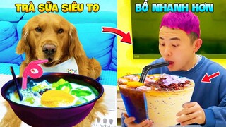 Thú Cưng Vlog | Đa Đa Đại Náo Bố #23 | Chó gâu đần thông minh vui nhộn | Funny pets smart dog