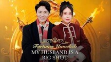 Fortunes Unveiled: My Husband Is a Big Shot