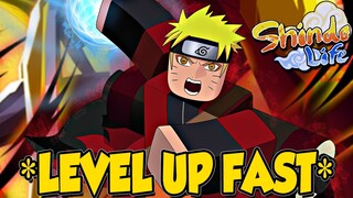 *New* LEVEL UP FAST NOW USING THIS AFK AUTOFARM COMPANION Method In Shindo Life!!