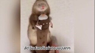 น้องทำอะไรกันนน