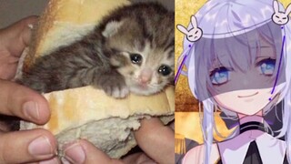 Virtual Anchor High Energy Broadcasting 27: Saatnya menunjukkan teknologi nyata!