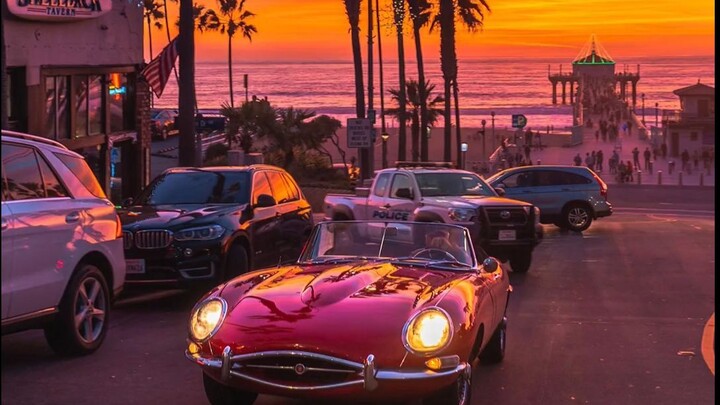 "Summer Retro Vibe Under the Palm Trees" — "𝓛𝓸𝓹𝓾$ - 𝓢𝓸 𝓒𝓾𝓽𝓮~"