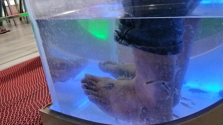 fish therapy