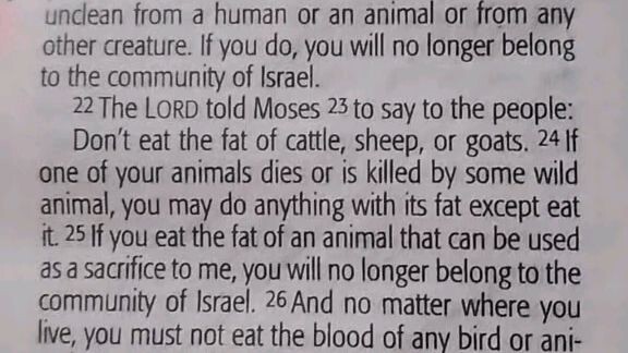 Daily Verse.        Leviticus 7:22-27.