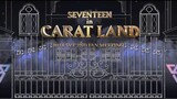 [17’S S.COUPS] THE NECESSITIES OF CARAT FOR CARATLAND | 2018 SEVENTEEN IN CARATLAND