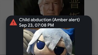 Amber Alert Cirno