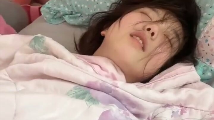 The small workshop really goes all out with ingredient preparation—341!