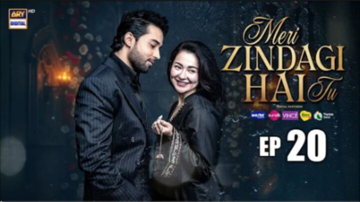 Meri Zindegi Hai Tu episode 20