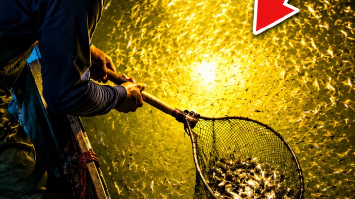 Night time fishing