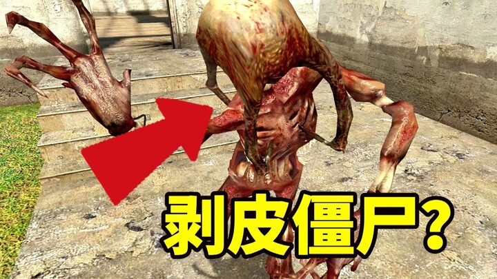 The terrifying creature that first appeared in “Half-Life 2”: a gaunt, fast-moving Hunter Headcrab z