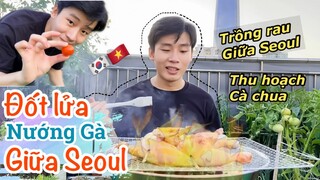 Đốt lửa NƯỚNG GÀ & thăm VƯỜN RAU của Khánh nằm giữa trung tâm Seoul