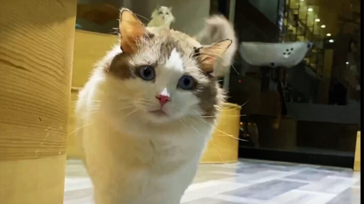 It's time to wrap up this topic as well.