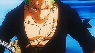 Zoro lost his calm for the first time when he saw the broken arm!