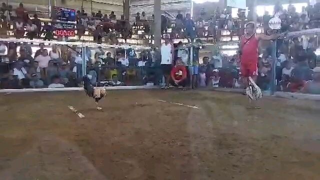 1st fight Win leipermclein x whites @ bugallon cockpit 2 hits ulutan