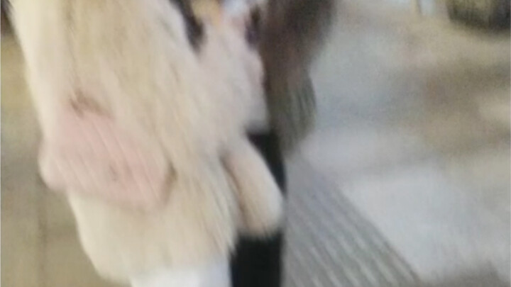 “สาวที่เข้ามาจีบถามว่า ‘คุณเพิ่มฉันทำไม?’ ตอบยังไงดี?”