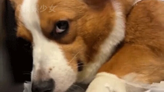 Inventifnya ide ini—lawan menarik satu layer #Kocak #Cantik...