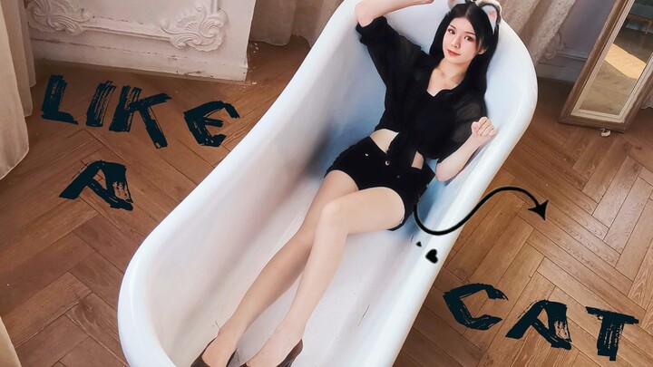 【Little Bear】Cat-like Steps ♥ (New Vertical Format) Sexy High-Heeled Kitty – Double the Fun at the E