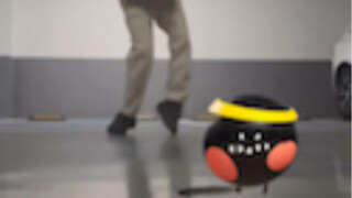 带着黑豆一起科目三