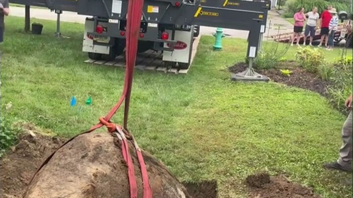 A netizen wanted to dig a stone from the lawn in his yard, but the more he dug, the more he felt som