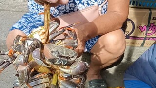 SELLING LIVE CRABS ON THE STREETS | MARINDUQUE PHILIPPINES