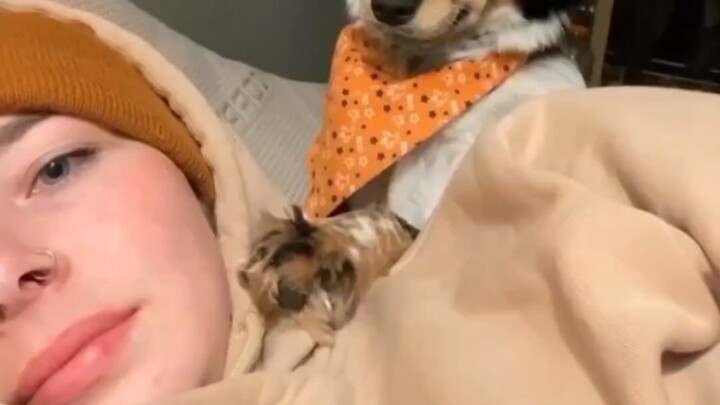 。。