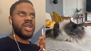 The drama boy reads out the cat's inner drama, the subwoofer and the cat are so well-matched