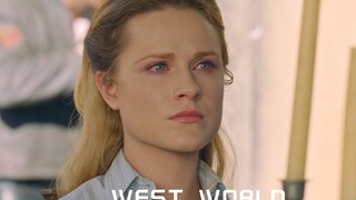 【西部世界/混剪/1080P】前方高能 ！那些让人起鸡皮疙瘩的台词