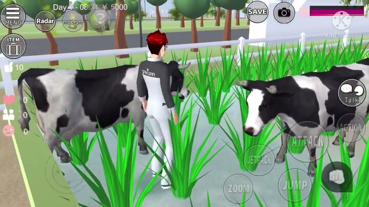 มาเป็นเด็กเลี้ยงวัว 1วันกันค่ะ #SakuraSchoolSimulator