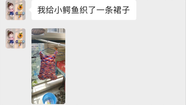 “About How My Mom Knitted a Dress for the Baby Crocodile”