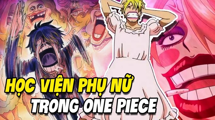 Những Ngôi Trường ĐẠI HỌC Trong One Piece