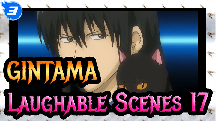 [GINTAMA]The laughable Iconic Scenes(Part 17)Gintoki bacame a cat_3