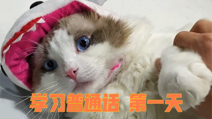 Am I really that weird when I talk?