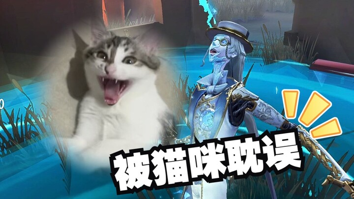 S1 Soul of the Umbrella Delayed by Cats