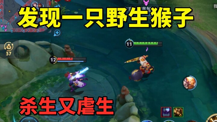 Mengelilingi tanpa menyerang, membunuh makhluk hidup sekaligus menyiksa mereka