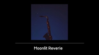 Moonlit Reverie