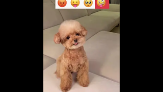 โอ้ยตุ๊กตารึป่าวเนี่ยย