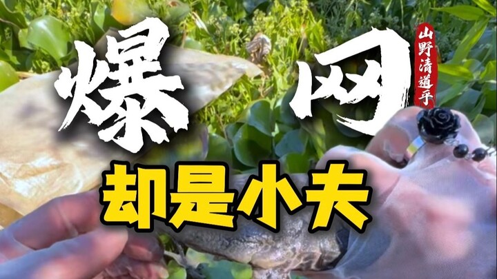 صيد السمك في الهواء الطلق، فاكتشفت أن عدد سمكات المُنظِّف يفوق كمية الصيد الفعلية!