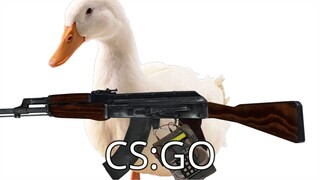 Video Hài Về CS:GO