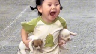 Yao Yiyao's new partner, the dog Baoer
