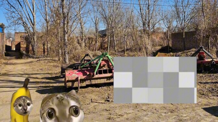 Mom’s Collection of Top-Notch Goons