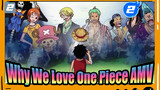 5 Minutes To Show You Why We Love One Piece | One Piece2