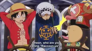 One Piece Funny Moment - Law call Chopper as Raccoon in Twice