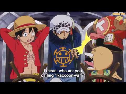 One Piece Funny Moment - Law call Chopper as Raccoon in Twice