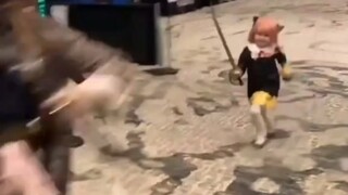 救命啊，杰克船长被阿尼亚追着砍啊！