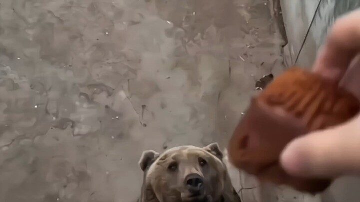 Feeding